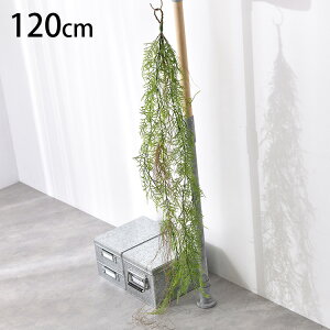 V_[oC nMO ybZ[WJ[hΉz ϗtA  tFCNO[ CeAO[ {^jJ A[eBtBVt[ AWg Ǌ|@݂艺 ǖ 