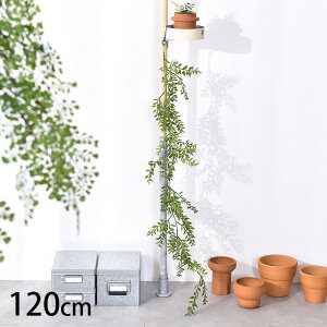 XJX K[h ybZ[WJ[hΉz ϗtA  tFCNO[ CeAO[ {^jJ A[eBtBVt[ AWg Ǌ|@݂艺 ǖ O