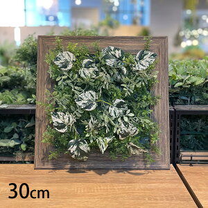 _ybgōőP5^ tbV[t~bNX }bg ybZ[WJ[hΉz ϗtA  tFCNO[ CeAO[ {^jJ A[eBtBVt[ AW