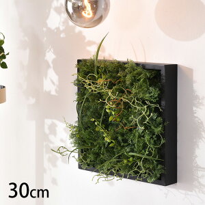 ChO[ }bg ybZ[WJ[hΉz ϗtA  tFCNO[ CeAO[ {^jJ A[eBtBVt[ AWg Ǌ|@݂艺 ǖ 