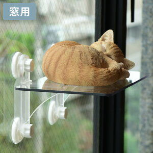 キャットステップ(窓用) 1枚セット 【ラッピング対応】 【メッセージカード対応】 キャットステップ 猫用 猫 ステップ 窓用 吸盤 クリア 透明 シンプル 棚