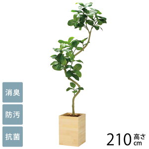 tFCNO[ A ^ Ebh{bNX AeV} 2.1m 3g G} tFCNO[ L R ybg  h  ҍ ItBX X lHϗtA