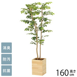 tFCNO[ A ^ Ebh{bNX }EeAbV 1.6m G} tFCNO[ L R ybg  h  ҍ ItBX X lHϗtA