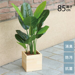 _ybgōőP5^ tFCNO[ A ^ Ebh{bNX XL^uTX 85cm G} tFCNO[ L R ybg  h  ҍ ItBX X lHϗtA