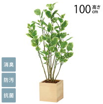 楽天市場】人工観葉植物 1mの通販