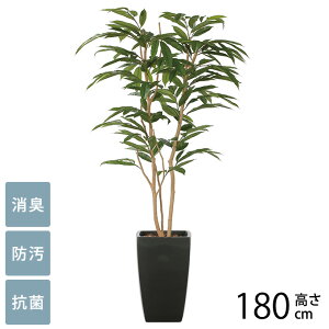 tFCNO[ A ^ ϗtA lH A[oX^C AXeo[LO 1.8m G} tFCNO[ L R ybg  h  ҍ ItBX X lH