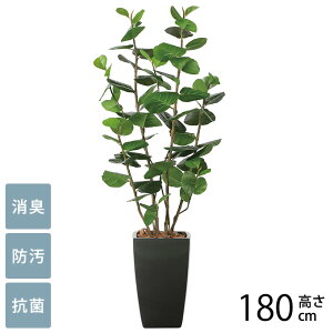 tFCNO[ A ^ ϗtA lH A[oX^C V[O[v 1.8m G} tFCNO[ L R ybg  h  ҍ ItBX X lHϗtA