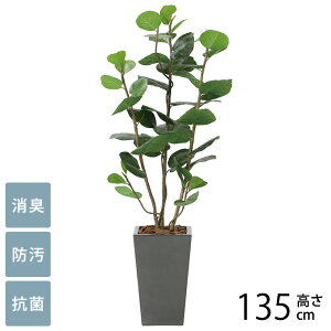 tFCNO[ A ^ ϗtA lH A[oX^C V[O[v 1.35m G} tFCNO[ L R ybg  h  ҍ ItBX X lHϗtA