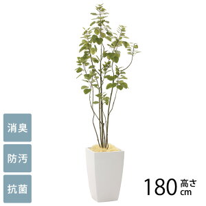 tFCNO[ A ^ ϗtA lH A[oX^C u`c[ 1.8m G} tFCNO[ L R ybg  h  ҍ ItBX X lHϗtA