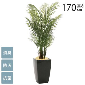 tFCNO[ A ^ ϗtA lH A[oX^C AJp[ 1.7m G} tFCNO[ L R ybg  h  ҍ ItBX X lHϗtA