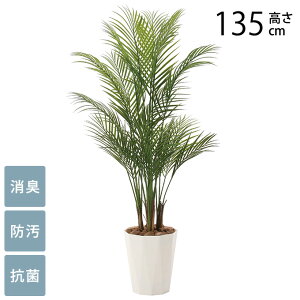 tFCNO[ A ^ ϗtA lH tA^Cv AJp[ 1.35m G} tFCNO[ L R ybg  h  ҍ ItBX X lHϗtA