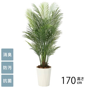 tFCNO[ A ^ ϗtA lH tA^Cv AJp[ 1.7m G} tFCNO[ L R ybg  h  ҍ ItBX X lHϗtA