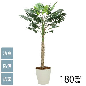 tFCNO[ A ^ ϗtA lH tA^Cv Z[ 1.8m G} tFCNO[ L R ybg  h  ҍ ItBX X lHϗtA