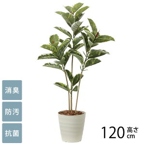 tFCNO[ A ^ ϗtA lH tA^Cv AeV} 1.2m G} tFCNO[ L R ybg  h  ҍ ItBX X lHϗtA