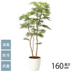 tFCNO[ A ^ ϗtA lH tA^Cv ˂ނ̖ 1.6m G} tFCNO[ L R ybg  h  ҍ ItBX X lHϗtA