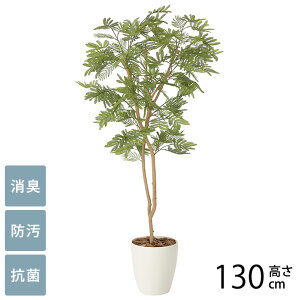 tFCNO[ A ^ ϗtA lH tA^Cv ˂ނ̖ 1.3m G} tFCNO[ L R ybg  h  ҍ ItBX X lHϗtA