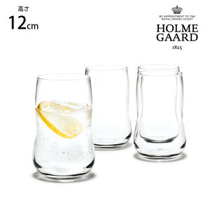 HOLMEGAARD zK[h FUTURE ^u[ 370ml@4 ybsOΉz ybZ[WJ[hΉz kG pB uh lC Rbv OX  NA v[g Mtg 