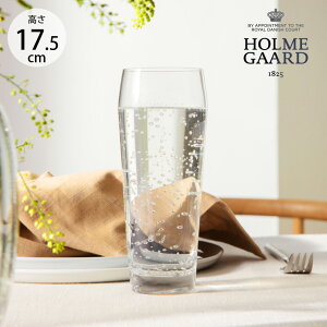 HOLMEGAARD zK[h PERFECTION EH[^[OX 450ml 6Zbg ybsOΉz ybZ[WJ[hΉz kG pB  KX Rbv OX  NA v[g 