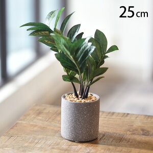 tFCNO[ _ybgōőP5^ U~tHA |bg ybZ[WJ[hΉz tFCNO[   U~tHA ybg lHϗtA O[ CeA  {^j