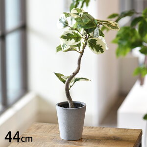 tFCNO[ tBJXAeV} |bg ybZ[WJ[hΉz tFCNO[   tBJXAeV} ybg lHϗtA O[ CeA  {^jJ