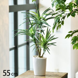 tFCNO[ ObJ |bg ybZ[WJ[hΉz tFCNO[   ObJ ybg lHϗtA O[ CeA  {^jJ