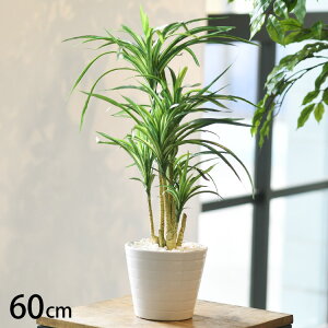 tFCNO[ bJ |bg ybZ[WJ[hΉz tFCNO[   bJ ybg lHϗtA O[ CeA  {^jJ