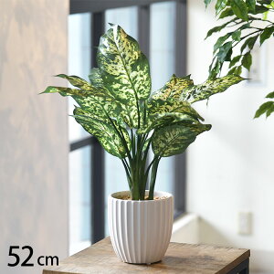 tFCNO[ ftFoLA |bg ybZ[WJ[hΉz tFCNO[   ftFoLA ybg lHϗtA O[ CeA  {^jJ