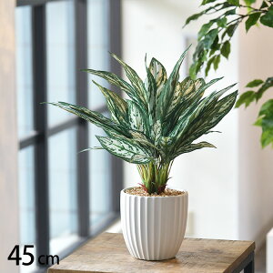 tFCNO[ AOIl} |bg ybZ[WJ[hΉz tFCNO[   AOIl} ybg lHϗtA O[ CeA  {^jJ