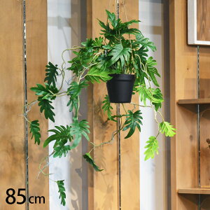 tFCNO[ NbJo nMO|bg ybZ[WJ[hΉz tFCNO[  nMO NbJo ybg lHϗtA O[ CeA  ݂邷