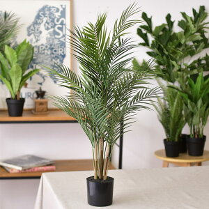 _ybgōőP5^ Brown. uE tFCNO[ AJV |bg 90 ybZ[WJ[hΉz tFCNO[   AJV ybg lHϗtA O[ CeA