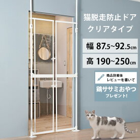 【レビュー特典あり】 Wanyanya わにゃにゃ にゃんドアクリアパネル 【メッセージカード対応】 猫脱走防止 猫　ねこ ペットドア キャットドア 猫ドア 透明　クリア おしゃれ ペットゲート 猫ゲート