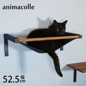 animacolle Aj}R WNLbgnbN + x ybZ[WJ[hΉz ybsOΉz LbgXebv LbgnbN L Lp LpnbN nbN Aj}R 