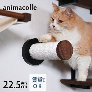 animacolle �A�j�}�R�� WN�L���b�g�X�e�B�b�N �y���b�Z�[�W�J�[�h�Ή��z �y���b�s���O�Ή��z �L���b�g�X�e�b�v �܂Ƃ� �L �L�p �܌��� �L���b�g�X�N���b�`���[ �A�j�}�R�� ������� �j�O�C���e