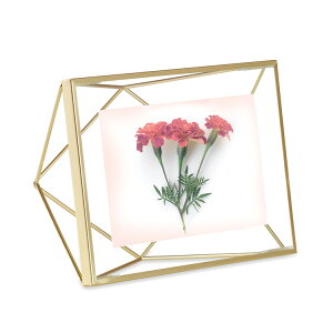 Umbra Au vY} tHgfBXvC 4×6 ybsOΉz ybZ[WJ[hΉz tHgt[ ʐ^ KG  Ǌ| c  v[g Mtg  rO Q Lb