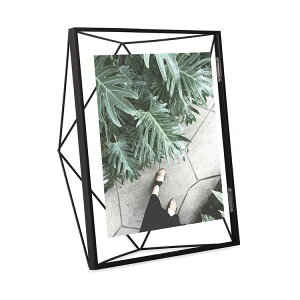 Umbra Au vY} tHgfBXvC 8×10 ybsOΉz ybZ[WJ[hΉz tHgt[ ʐ^ Z Ǌ|  c  v[g Mtg  rO Q L