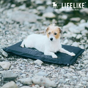 LIFELIKE CtCN LIFELIKE Ct[^[}bg ybZ[WJ[hΉz Ct[^[}bg ybg  ܂肽 Lv NbV RpNg  AEghA \tgE