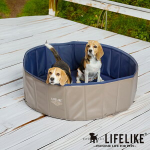 _ybgōőP5^ LIFELIKE CtCN LIFELIKE hbOv[ ybsOΉz ybZ[WJ[hΉz ybgpv[   q AEghA  x_ Lv ܂肽