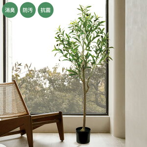 LA[eBtBVO[ ^ I[u ybZ[WJ[hΉz tFCNO[ L R  ybg  ^ h CTG} lHϗtA