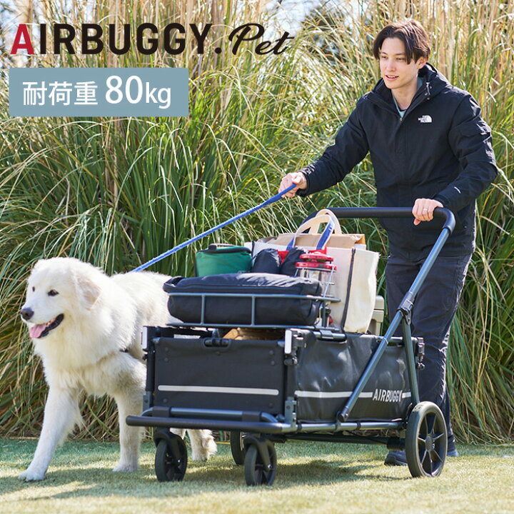 楽天市場】AIRBUGGY エアバギー AIR CRUISER BASE エアクルーザー 