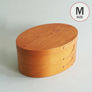 AXCIS(ANVX) VF[J[I[o{bNX M i` ybsOΉz ybZ[WJ[hΉz [{bNX  t^t Vv i` k CeA G [P