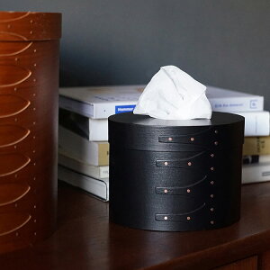 AXCIS(ANVX) VF[J[eBbV{bNX ubN ybsOΉz ybZ[WJ[hΉz [{bNX eBbVP[X ؐ Vv i` k CeA Mtg 