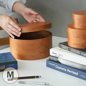 AXCIS(ANVX) VF[J[Eh{bNXM ybsOΉz ybZ[WJ[hΉz [{bNX  t^t Vv i` k CeA G [P[X ؔ Hom