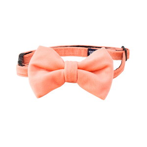 MANDARINE BROTHERS }_uU[Y {E^C ybsOΉz ybZ[WJ[hΉz p  J[ {ElN^C {E^C lN^C { hbOJ[ @킢