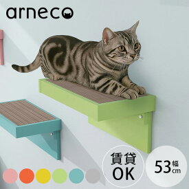 【サンプル送付サービスあり】 arneco アーネコ Board Nail ボードネイル キャットステップ キャットウォール 猫用 爪とぎ 壁掛け 壁棚 ウォールシェルフ 賃貸 キャットタワー カラフル