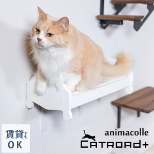 animacolle �A�j�}�R�� �L���b�g�x�b�h �y���b�Z�[�W�J�[�h�Ή��z �L���b�g�X�e�b�v �L�p �L���b�g �Ǌ|�� �x�b�h ���Y ����OK �z���C�g�@���@���m�g�[�� animacolle CATROAD+