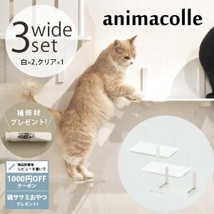 �y���r���[���T����z �L���b�g�X�e�b�v animacolle �A�j�}�R�� Catroad+ ���C�h�X�e�b�v 3�_�Z�b�g�i ��2�A�N���A1�j �y���b�s���O�Ή��z �y���b�Z�[�W�J�[�h�Ή��z �L ���� �������� �L���b�g�X