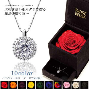 lbNX ꗱ fB[X v`i 18 LO v[g  Vv fB[XlbNX ANZT[ av[g FB NX}X S[h XtXL[ ޏ 20 