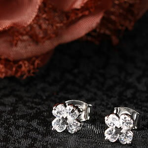 WG[N[o[`[tsAXbpiercebANZT[b̓bv[gbޏbbLObMtgb蕨bȁbabebfB[Xb