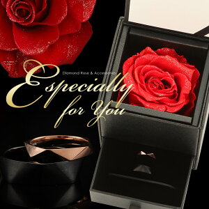 Zanipolo TerziniwVR_Ch[Y×fUCyAOx 2{Zbg|bZ[W|AM[ɂS|Vo[|NX}X|WG[||vU[uht[||KN|o|yA