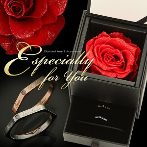 Zanipolo TerziniwVR_Ch[Y×bZ[W@yAOx 2{Zbg|WG[||vU[uht[||KN|o|yA|Mtg|ޏ|av[g|l||j/